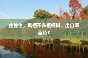 穷理尽性的释义