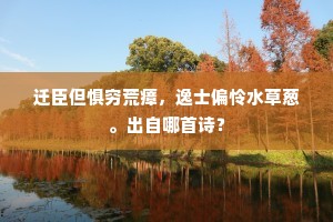 穷鸟入怀的成语解释