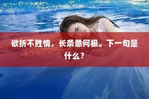 小帽虬头裹绛纱，征袍砌就雁衔花。的意思及出处
