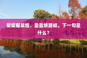 倾盆大雨的成语解释