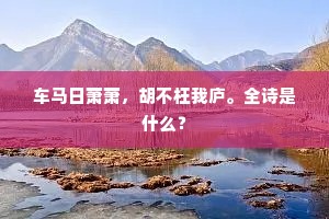 带野花，携村酒，烦恼如何到心头。的意思及出处