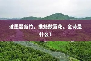 轻手软脚的成语解释