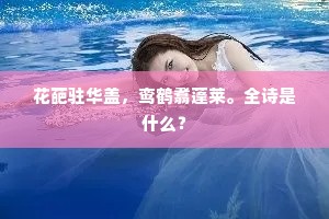 秋千院同携玉手，琵琶亭催解兰舟。的意思及出处