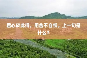 照下渊明休官例，和一篇归去来兮。全诗是什么？