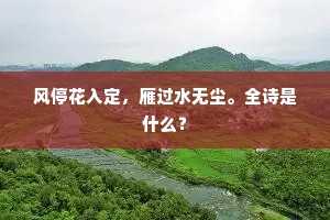 恨东君多雨多风，盼王孙无影无踪。上一句是什么？
