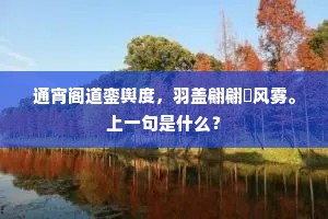 坐不稳自敝自焦，睡不着不宁不帖。的释义