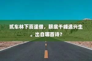 风高敢放连天人，月黑提刀去杀人。的解释