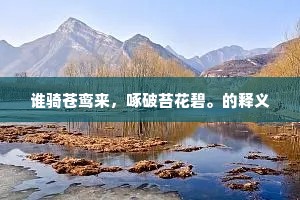 好雨初晴东郊媚，看儿孙月下扶犁。上一句是什么？