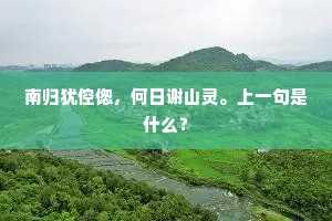 他便似无根蓬草，任飘零不厌尘埃。出自哪首诗？