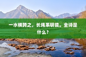几年政绩远相闻，采得民谣报使君。的意思及出处