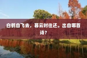 爱的是青山旧友，喜的是绿酒新ド。的意思及出处