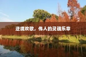 逆境欢歌，伟人的灵魂乐章