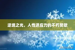 逆境之光，人性适应力的不朽赞歌