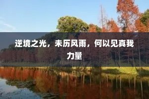 人多口杂的解释