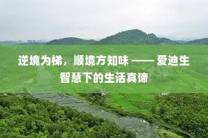 人非物是的解释