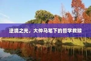 逆境之光，大仲马笔下的哲学救赎