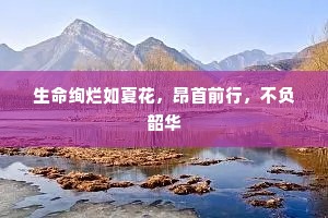 素不曾识面调情，平白地将人勾引。全诗是什么？