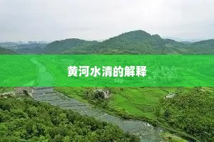 守岩扉洞口白猿，伴渔蓑花下红鸳。的释义