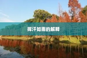 挥汗如雨的解释