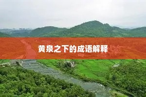黄泉之下的成语解释