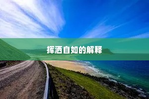 挥洒自如的解释