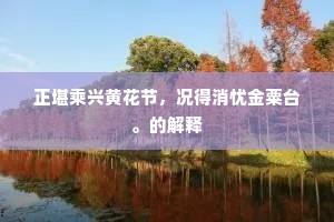 琵琶冷江空月惨，泪痕淹司马青衫。的解释