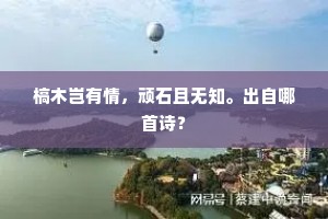 想猜是孤槎客星，待温存湖海飘零。出自哪首诗？