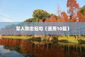 倔强不服输的励志座右铭（通用40句）