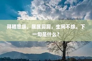 日月逾迈的解释