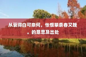 肉山酒海的释义