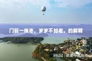 如痴如狂的解释