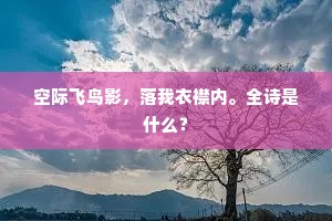 山长水远的解释