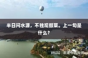 山高皇帝远的释义