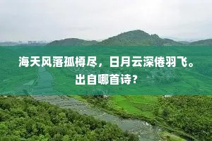 山积波委的释义