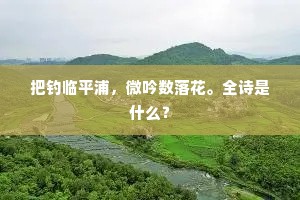 珊珊来迟的解释