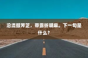 闪烁其词的解释