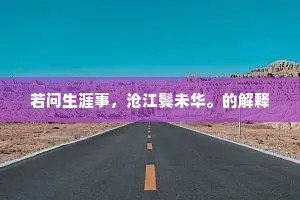 闪烁其辞的成语解释