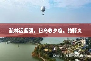 赏奇析疑的解释