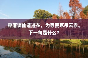 一段天机精妙处，便堪持此换琼瑶。全诗是什么？