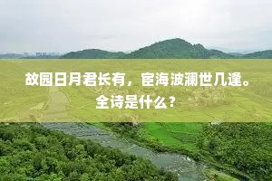 欲买扁舟系篱落，只愁平地化沧溟。全诗是什么？