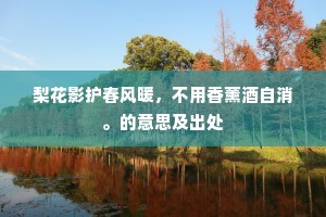 谁言炼石神功大，不与秋旻补漏倾。的意思及出处