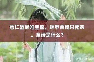 目穷白鸟天边树，诗落青山云外庄。上一句是什么？