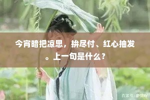 连日霪霖此夜乾，满天星月照虚坛。的意思及出处
