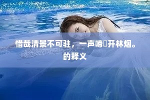 承运殿上亲赐与，白璧不换千金轻。的意思及出处