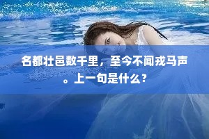 自从尼父删修后，不识河汾续得成。全诗是什么？