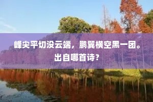 满箧清光应照眼，欲题凡韵辄裴回。的意思及出处
