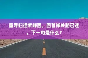 闲飘上路呈丰岁，狂舞中庭学醉春。下一句是什么？
