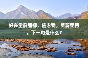 野烟秋水苍茫远，禅境真机去住闲。下一句是什么？