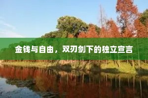 金钱与自由，双刃剑下的独立宣言