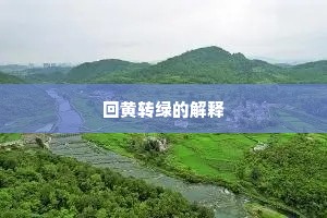回黄转绿的解释
